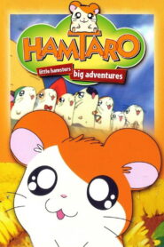 Hamtaro: Season 1